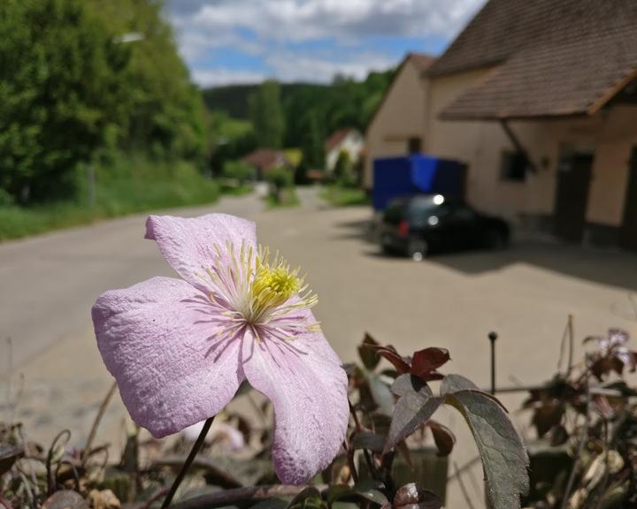 Eis Vom Werzingerhof Wernfels